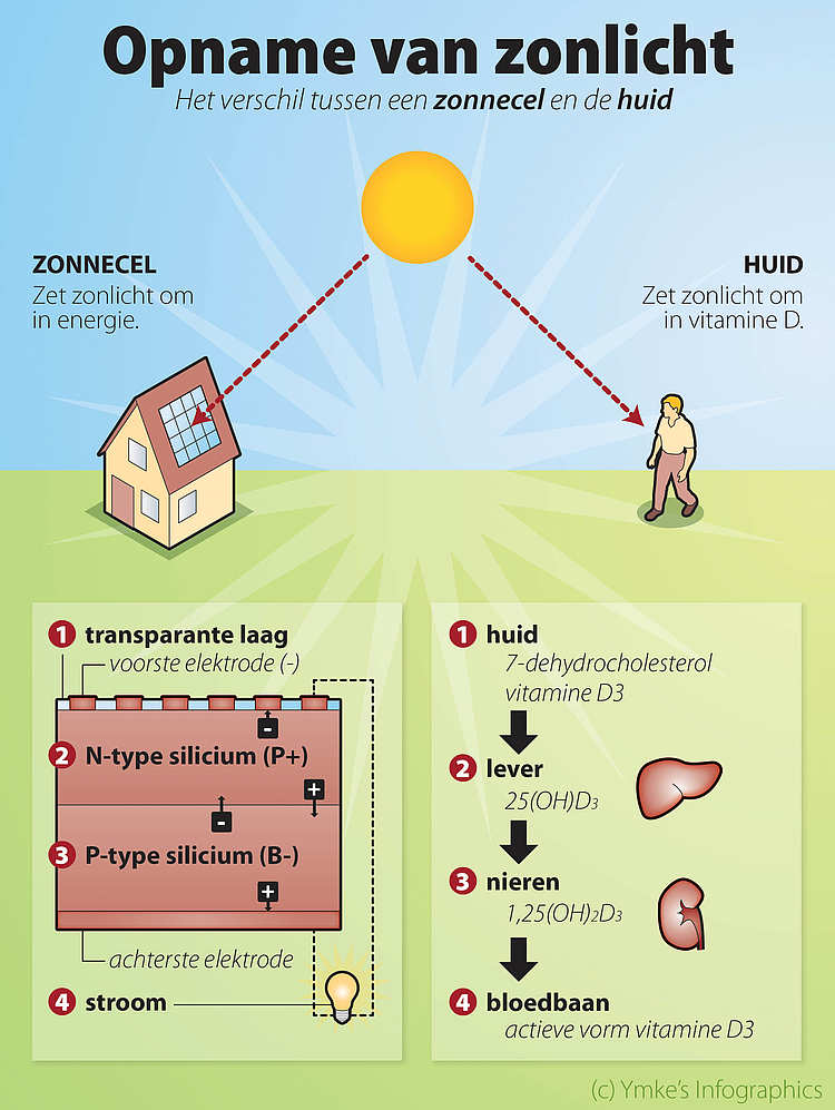 Schat combinatie glans Zonne-energie voor je huis én in je lichaam! - Vitamine Informatie Bureau